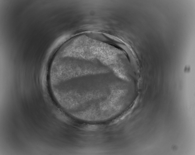 X0000102820149200809151023