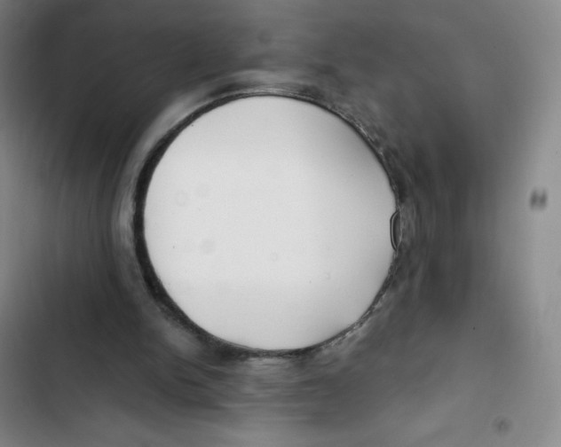X0000102820150200809151023