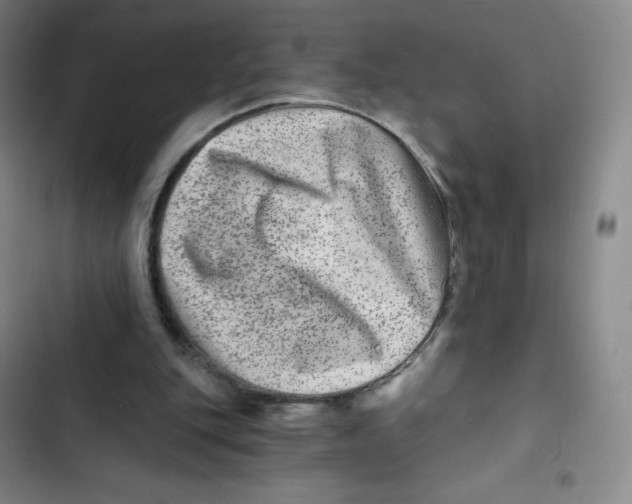 X0000102820151200809151023