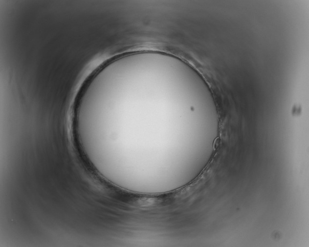 X0000102820152200809151023