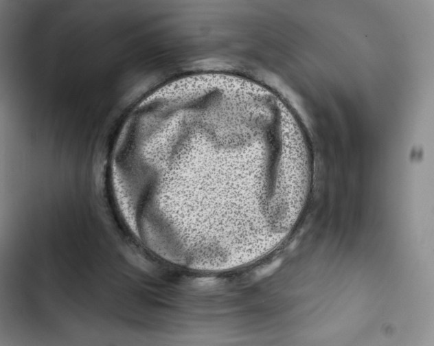 X0000102820153200809151023