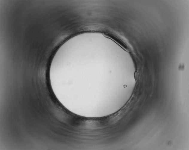 X0000102820154200809151023