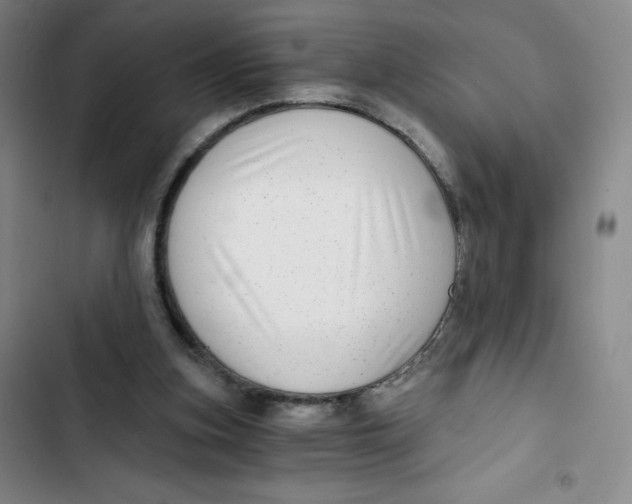 X0000102820155200809151023