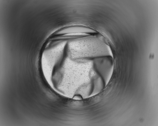 X0000102820156200809151023