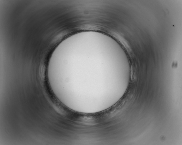 X0000102820157200809151023