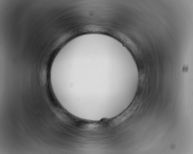 X0000102820158200809151024