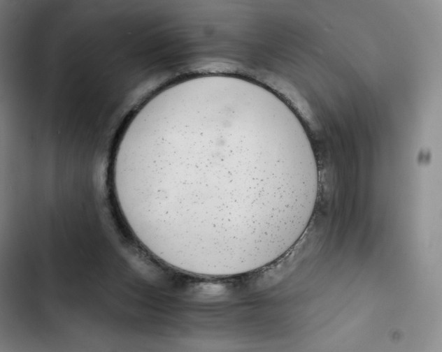 X0000102820159200809151024