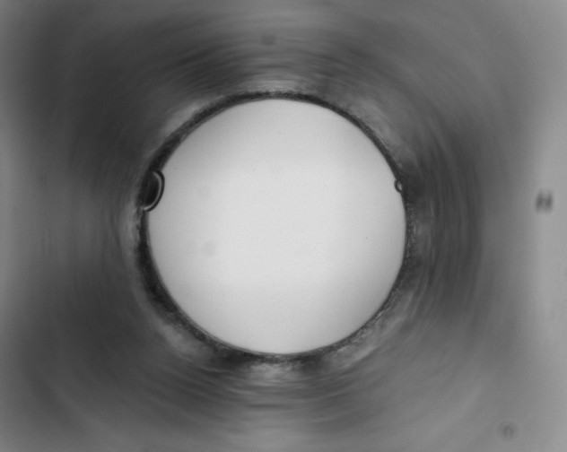 X0000102820160200809151024