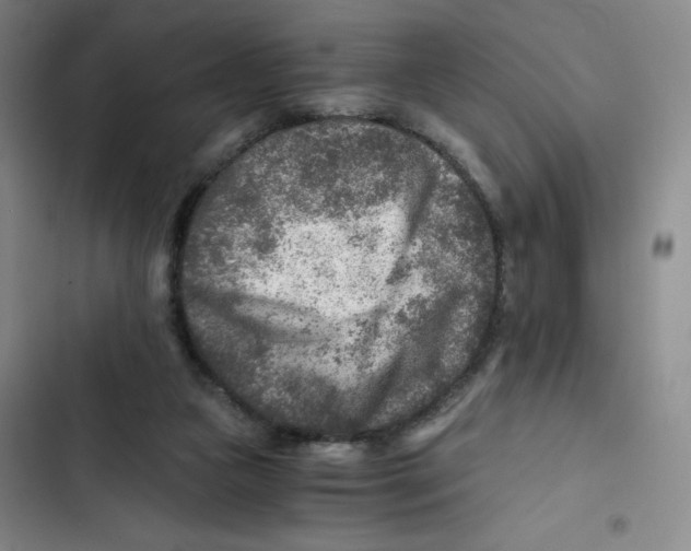 X0000102820161200809151024
