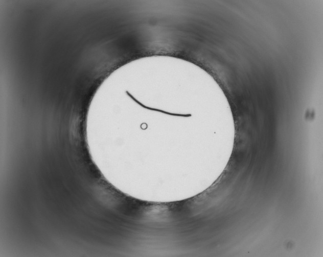 X0000102820162200809151024