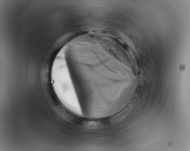 X0000102820163200809151024