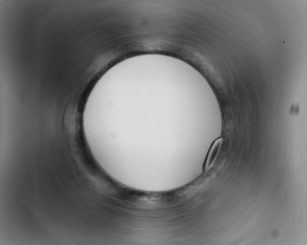 X0000102820164200809151024