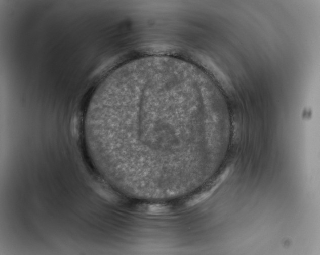 X0000102820165200809151024