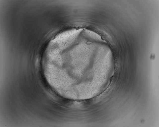 X0000102820166200809151024