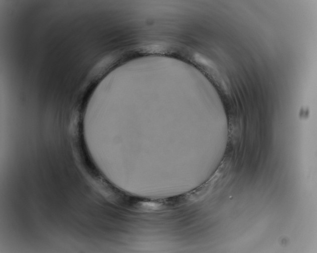 X0000102820167200809151024