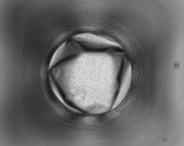 X0000102820168200809151024
