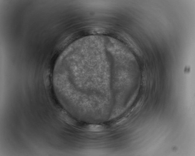 X0000102820169200809151024