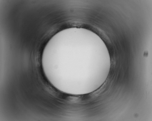 X0000102820170200809151024