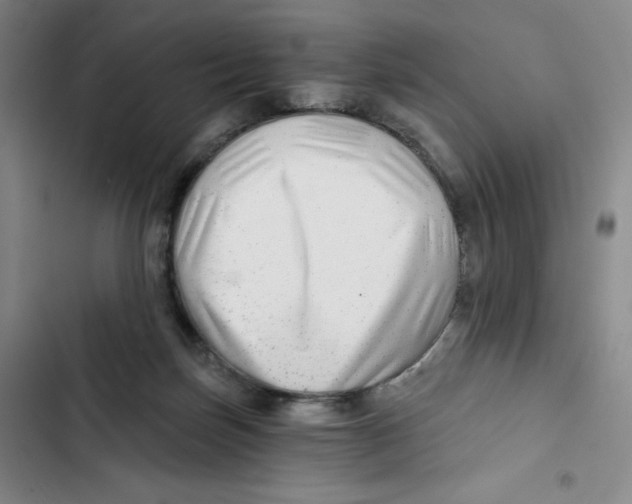 X0000102820171200809151024