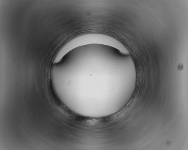 X0000102820172200809151024