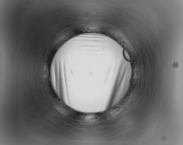 X0000102820173200809151024