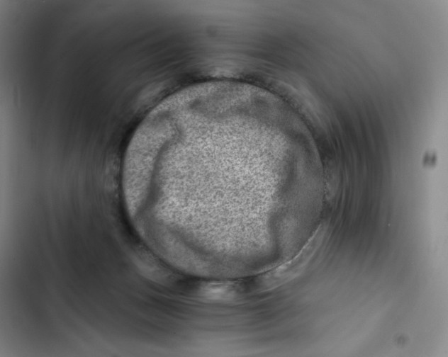 X0000102820175200809151024