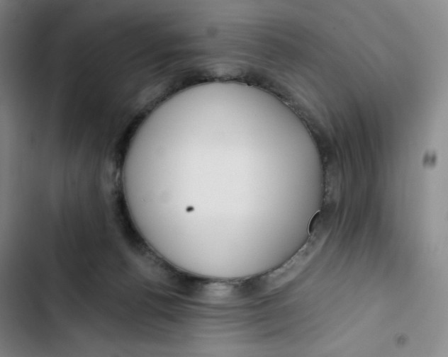 X0000102820176200809151024
