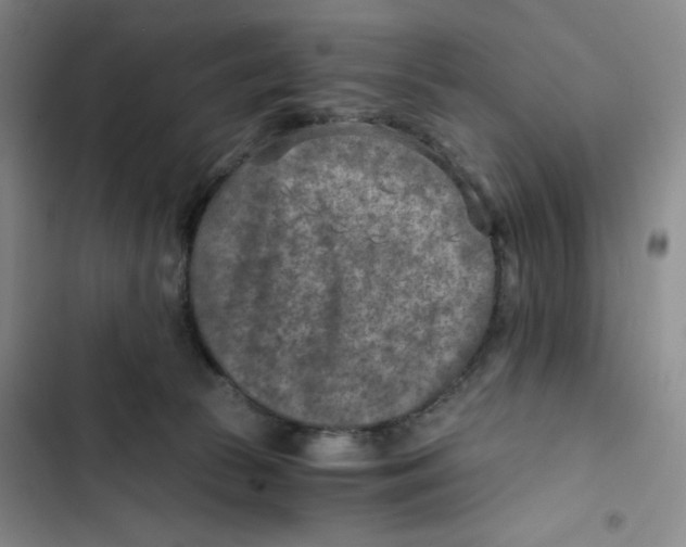 X0000102820177200809151024
