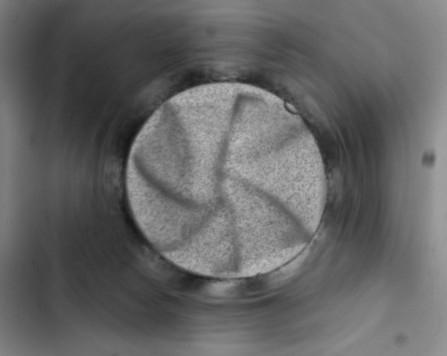 X0000102820178200809151024