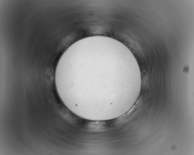 X0000102820179200809151024