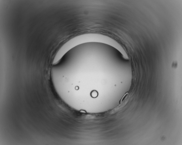 X0000102820180200809151024