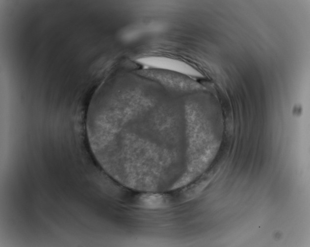 X0000102820181200809151024