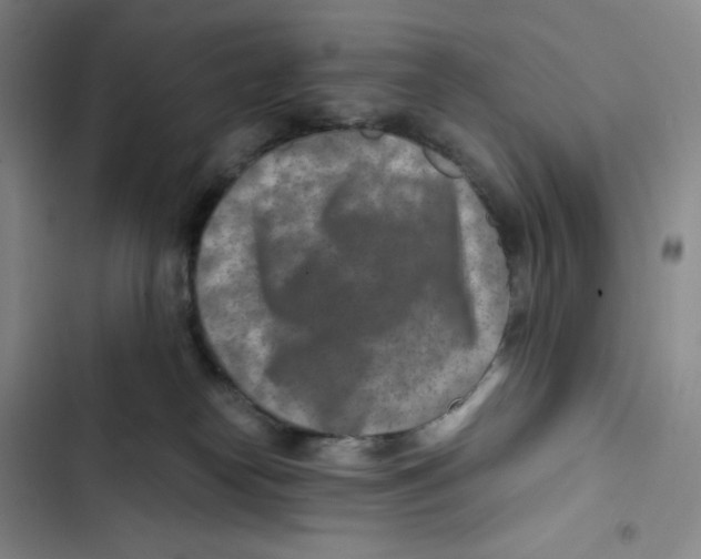 X0000102820182200809151024