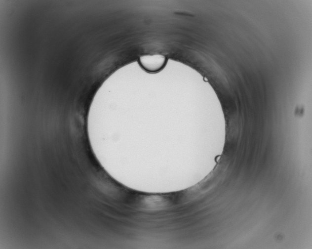 X0000102820183200809151024
