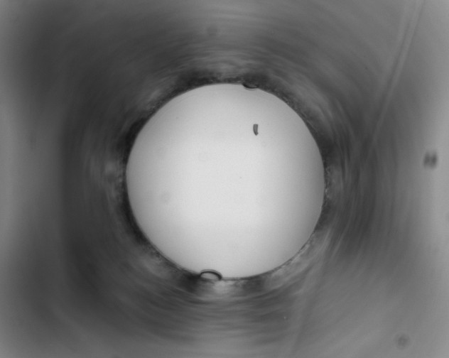 X0000102820184200809151024