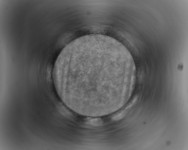 X0000102820185200809151024