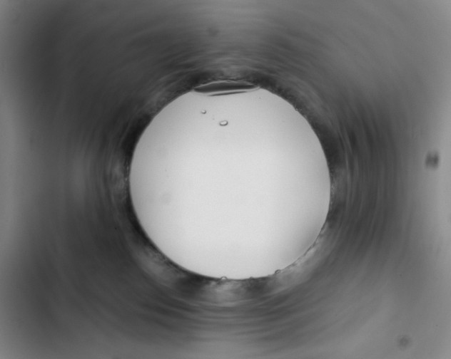 X0000102820186200809151024