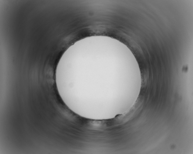 X0000102820187200809151024