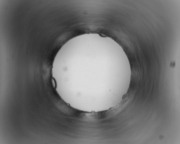 X0000102820188200809151024