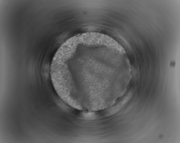 X0000102820189200809151024