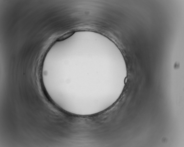 X0000102820193200809151023