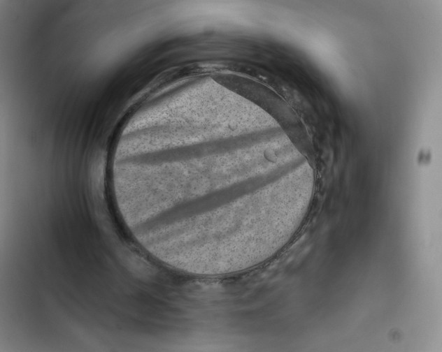 X0000102820194200809151023