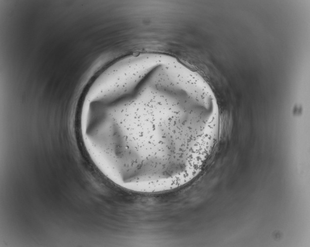X0000102820195200809151023