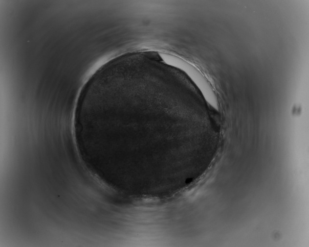 X0000102820196200809151023