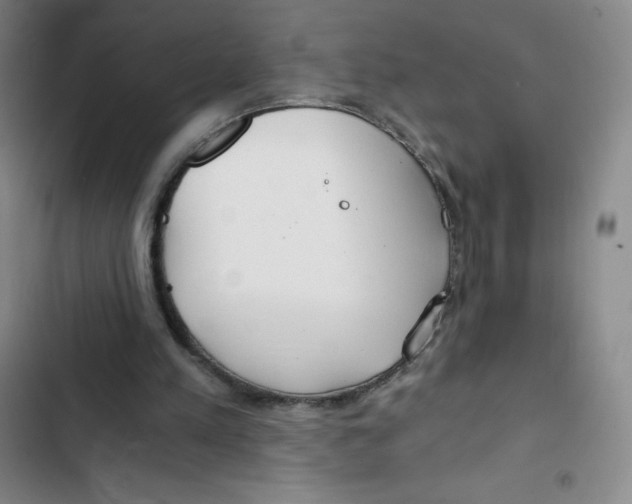 X0000102820197200809151023