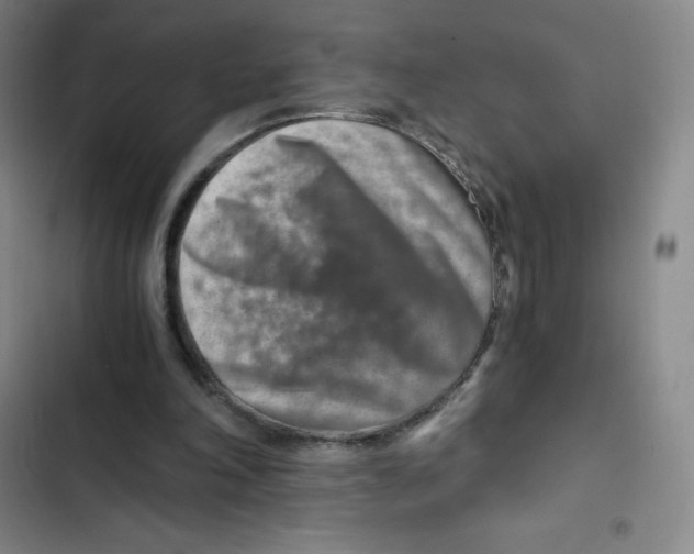 X0000102820198200809151023