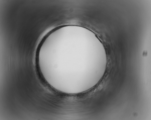 X0000102820200200809151023