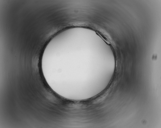 X0000102820201200809151023