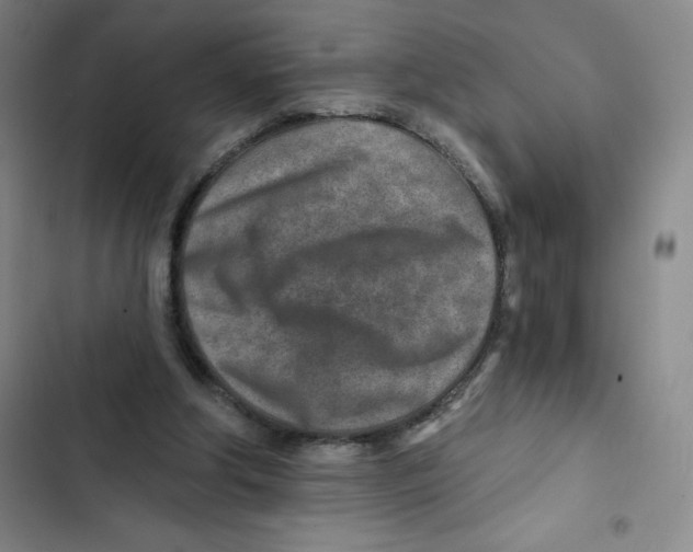 X0000102820202200809151023