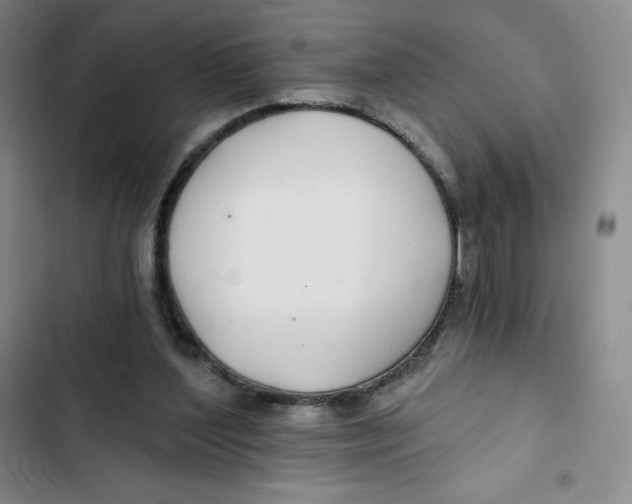 X0000102820204200809151023